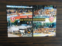 Ultras Dynamo Dresden  Foto