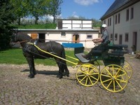 Schöne Wagonette von WARCO