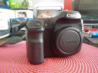 Canon EOS 40D 10.1MP Digitalkamera Schwarz Body Spiegelreflex DSLR