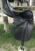 Dressursattel Stübben Maestoso De Luxe, 17Zoll, KW 32/33 neu gepolstert, TOP! 