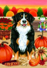 Garden Indoor/Outdoor Autumn Flag - Bernese Mountain Dog (Tp) 670511