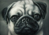Pug Painting Iron T shirt Transfer,bibs,bags and Cushions