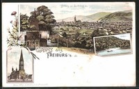 alte Lithographie Freiburg, Totalansicht, Münster, Waldsee 