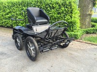 Shetty - Pony  - Marathonwagen - Kutsche