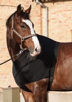 CATAGO Brustschutz Elastan Schulterschutz unter Decken schwarz div. Größen