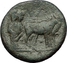 AUGUSTUS 27BC Philippi Macedonia PRIESTS Founding City Oxen Roman Coin i59337