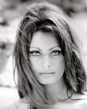 SOPHIA LOREN Glossy 8X10 PHOTO PICTURE PRINT 2830