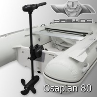 HASWING Osapian 80 Außenborder 900W Elektromotor Aussenbordmotor Bootsmotor
