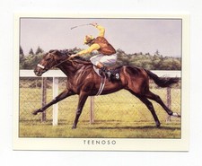 #1 Teenoso with Lester Piggott Racehorse/Jockey card