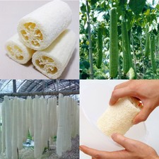 3" Natural Loofah Luffa Body SPA Scrub Bath Shower Fiber Sponges Cleaner Brushes