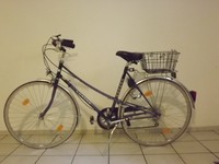 Damenfahrrad, Rennrad, Fahrrad