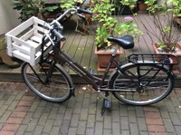 Gazelle Heavy Duty NL Lastenfahrrad