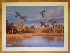 What is the value of a Ducks Unlimited framed print and coin?