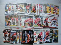 DEL Playercards Düsseldorfer EG 1995/96–2009/10 + Füchse Weisswasser, signiert