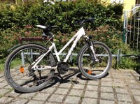 Bulls Sharptail Street RH 41, Nabendynamo, voll funktionsfähig