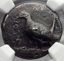 AKRAGAS in SICILY 510BC Didrachm EAGLE CRAB Silver Greek Coin RARE R1 NGC i58237