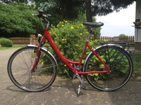 Damen Trekking Bike 28 Zoll - Pegasus Solero Alu Light 24