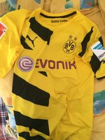BVB Trikot Matchworn Immobile L