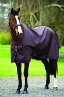 HORSEWARE Amigo Hero 6 lite light neue Farbe! und Amigo Bravo 12 lite Weidedecke