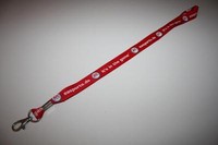 EA Sports Schlüsselband Lanyard NEU
