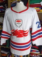 Trikot Eishockey Skedsmo Ishockeyklubb IK (L)#20 Norwegen Jersey Norway Shirt