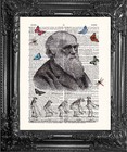 Charles Darwin Evolution-Dictionary Print Book Print Page Art-Upcycled Antique 