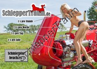 Blechschild "Schmierplan" Porsche Traktor Schlepper Sexy Girl Schild Tin sign