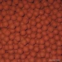 Boilies 'Red Shrimps'  (Grundpreis 7,19€/kg), Ø16mm bis Ø30mm, Menge 5kg