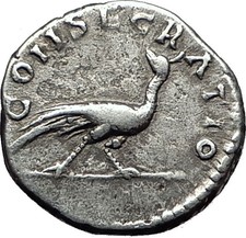 FAUSTINA I Senior 146AD Rome CONSECRATIO Peacock Juno Silver Roman Coin i57979