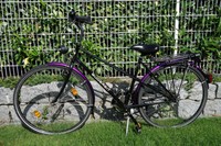 Damenrad Gudereit 28 Zoll