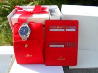 Omega Seamaster Aqua Terra Lady (231.030..) Grau 2010 Full Set für Damen