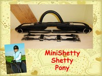 Reitgurt Longiergurt  Minishetty Shetty Pony Voltigiergurt Reithilfe