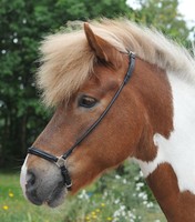 Sperrhalfter Reithalfter für Isländer HKM (7140) schwarz Gr. 22,5cm NEU