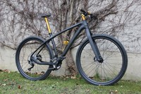 29er Carbon Racing Hardtail von Harlekin Bikeparts