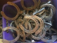 100 ORIGINAL Pferde Hufeisen Stahl , Versand o.an Selbstabholer Dortmund 