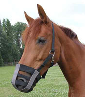 Pferdemaulkorb, Maulkorb, Fressbremse, Textil ohne Gummi, stabil, verstellbar