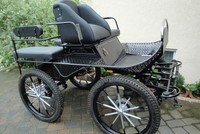 Marathonwagen  Kutsche Kutschen Marathon