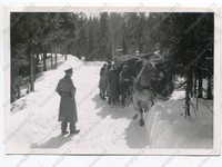 Foto, Polizei-Bataillon 255, Pferdeschlitten Einsatz in Trysil, Norwegen, q