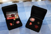 Eintracht Frankfurt Pin Sammlung 8 Teile Neu