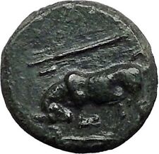 KRANNON in THESSALY 350BC Horseman Bull Trident Ancient Greek Coin i55654