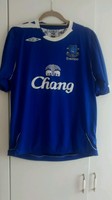 FC Everton Trikot Grösse M, Matchworn, getragen von Tim Cahill, Kult