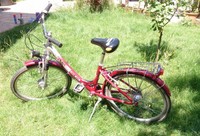 Fahrrad Rot 24 Zoll