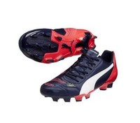 Puma evoPOWER 4.2 FG 103220 Fußballschuh Herren white/plasma *NEU* 