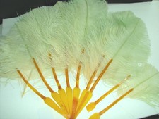Vintage Fan Antique Edwardian Feather Lot 2 Ostrich Celluloid Tlc Project