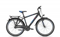 Raleigh Schoolmax 7-Gang 26 Zoll Jungenrad mit Rücktrittbremse Modell 2016 RH 45