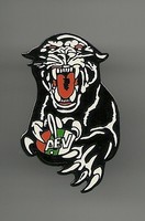 Eishockey Pin NHL / DEL Logo AEV Augsburg Panthers