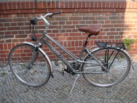 Giant sportliches Damen City-und Tourenrad silber Custom superlite Fahrrad