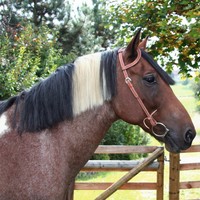 KERBL Einohrtrense DAKOTA Westerntrense