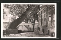 tolle AK Bad Saarow, Hotel Schloß Pieskow mit Seesteg 