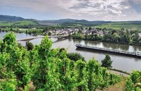 Erholungstage an der Mosel für 2Ü/HP im Hotel Pension Wendland in Wintrich